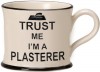 Trust Me I'm a Plasterer Mugs