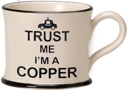 Trust Me I'm a Copper Mugs
