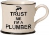 Trust Me I'm a Plumber Mugs