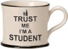 Trust Me I'm a Student Mugs