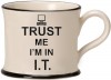Trust Me I'm in I.t. Mugs