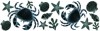 Crabs and Shells