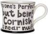 No One's Perfect (Kernow)