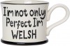 I'm Not only perfect ,I'm Welsh