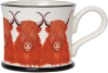Highland Cow / Cattle