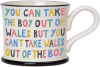 Boy Out Of Wales Colour