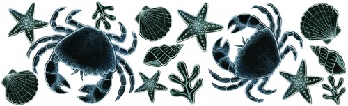 Crabs and Shells