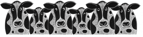 Cow Mug