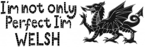 I'm Not only perfect ,I'm Welsh