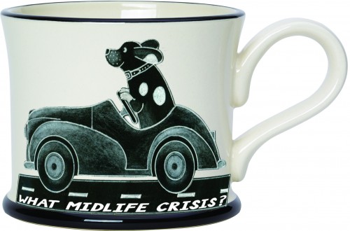 'It's A Dogs Life' ( What Midlife Crisis? ) 