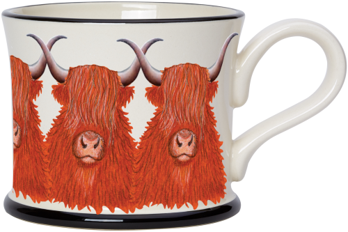 Highland Cow / Cattle