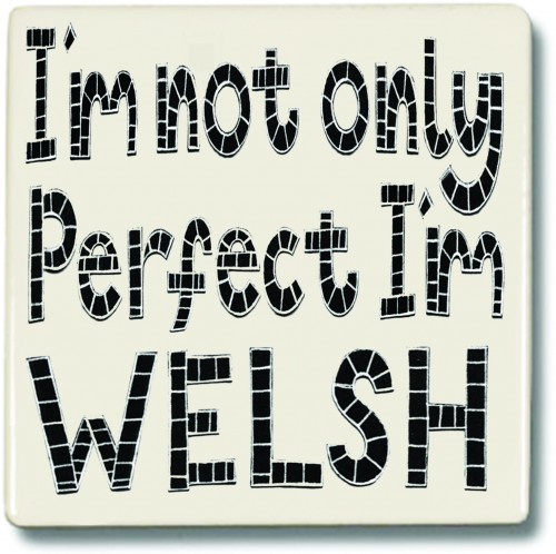 Not only Perfect Welsh Coaster
